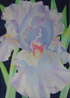 /album/mary-kosary/mary-kosary-morning-iris-jpg1/